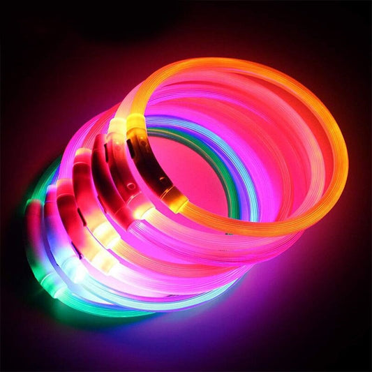 Lysande LED-halsband för Hund & Katt – USB-uppladdningsbart