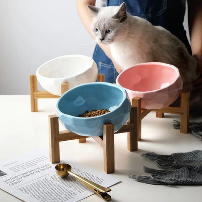 Upphöjd Matskål för Hund och Katt – Skonsam Ergonomisk Skål för Hälsosammare Ätande