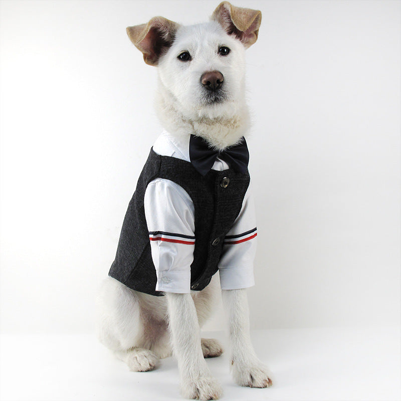 Bröllopsdress för Hund – Söt Festdress för Brudgumme och Brud | 39 Varianter