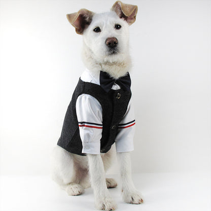 Bröllopsdress för Hund – Söt Festdress för Brudgumme och Brud | 39 Varianter