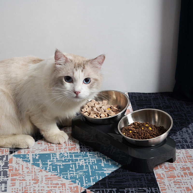 Dubbel Matskål i Rostfritt Stål för Hund och Katt – Uphöjd och Hållbar Design