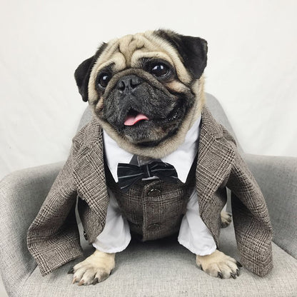 Bröllopsdress för Hund – Söt Festdress för Brudgumme och Brud | 39 Varianter