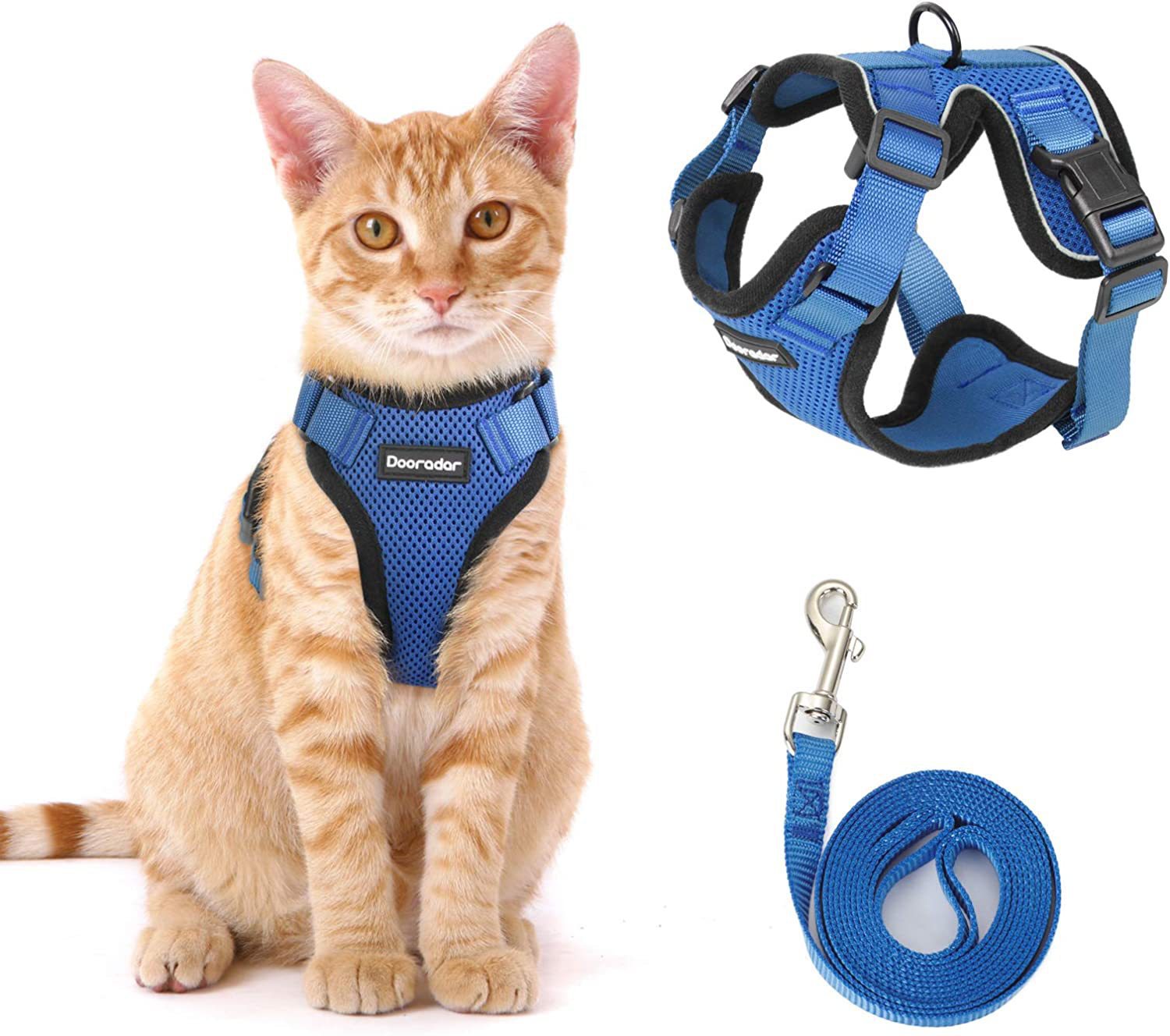 301aa550b4177fd97958525c7ea6ca1a