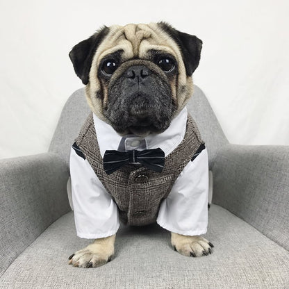 Bröllopsdress för Hund – Söt Festdress för Brudgumme och Brud | 39 Varianter