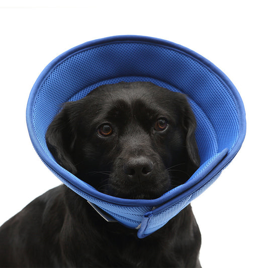 SoftShield™ – Mjuk & Bekväm Skyddskrage för Hund eller Katt