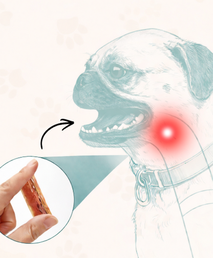 SafeSnack – Säker benhållare & aktiveringsleksak i ett