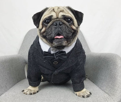 Bröllopsdress för Hund – Söt Festdress för Brudgumme och Brud | 39 Varianter