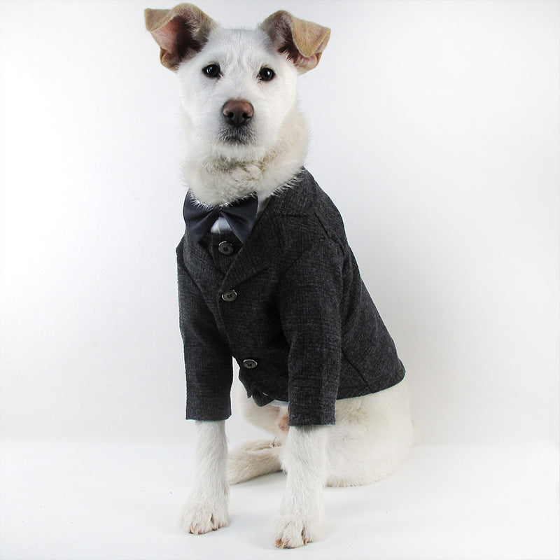 Bröllopsdress för Hund – Söt Festdress för Brudgumme och Brud | 39 Varianter