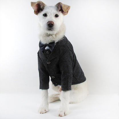 Bröllopsdress för Hund – Söt Festdress för Brudgumme och Brud | 39 Varianter