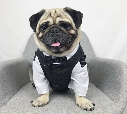 Bröllopsdress för Hund – Söt Festdress för Brudgumme och Brud | 39 Varianter