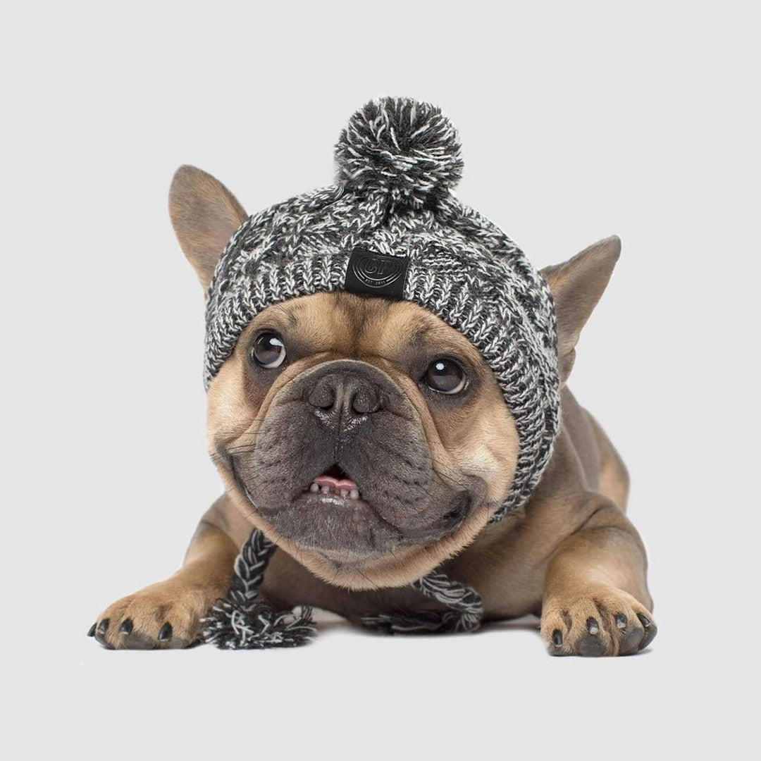 SnugPaw™ – Vintermössa för Hund