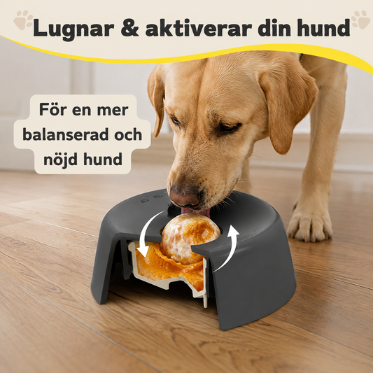 Slickskålen – mindre stress och kaos hemma