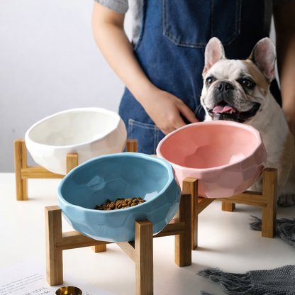 Uphöjd Matskål för Hund och Katt – Ergonomisk skål för Hälsosammare ätande