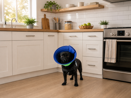 SoftShield™ – Mjuk & Bekväm Skyddskrage för Hund eller Katt