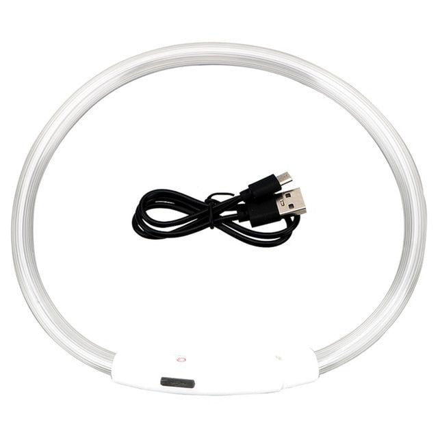 Lysande LED-halsband för Hund & Katt – USB-uppladdningsbart