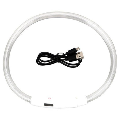 Lysande LED-halsband för Hund & Katt – USB-uppladdningsbart
