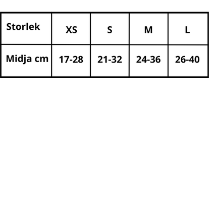 Tikskydd med kjol – söt och säker löpbyxa för hund