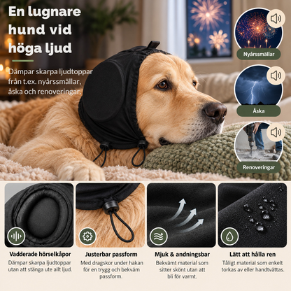 Golden retriever i svart ljuddämpande hörselskydd ligger lugnt i soffan – dämpar nyårssmällar, åska och renoveringsljud