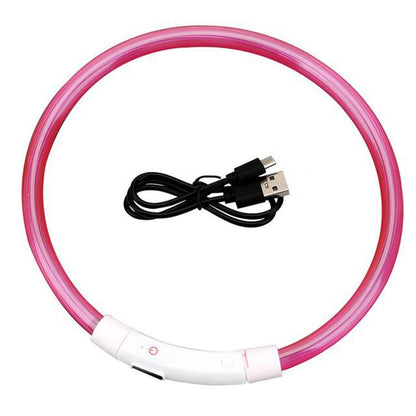 Lysande LED-halsband för Hund & Katt – USB-uppladdningsbart