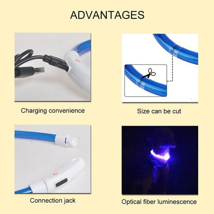 Lysande LED-halsband för Hund & Katt – USB-uppladdningsbart