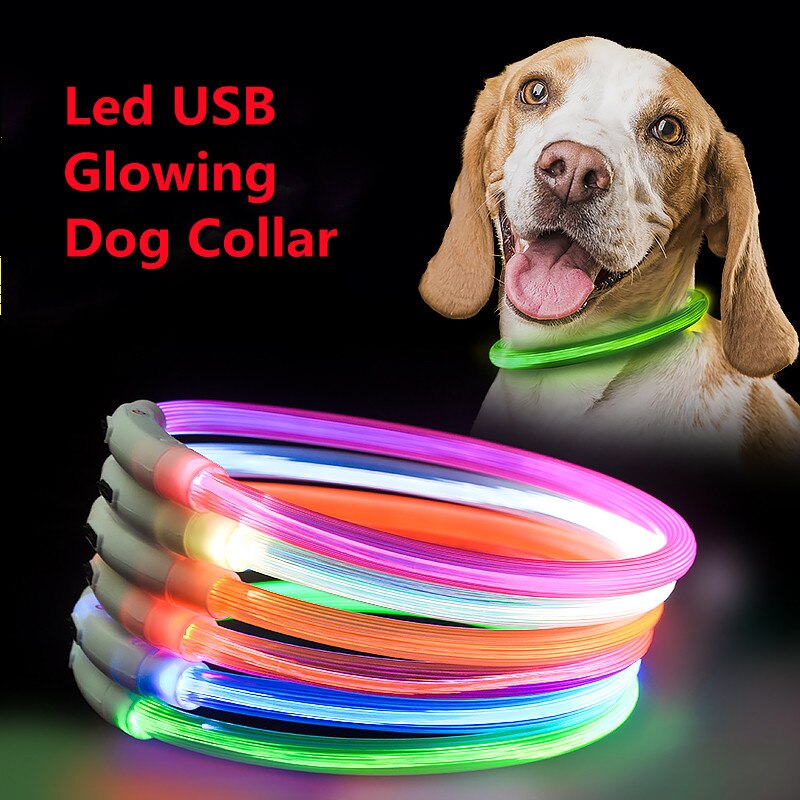 Lysande LED-halsband för Hund & Katt – USB-uppladdningsbart