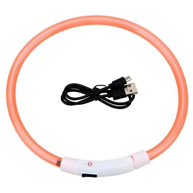 Lysande LED-halsband för Hund & Katt – USB-uppladdningsbart