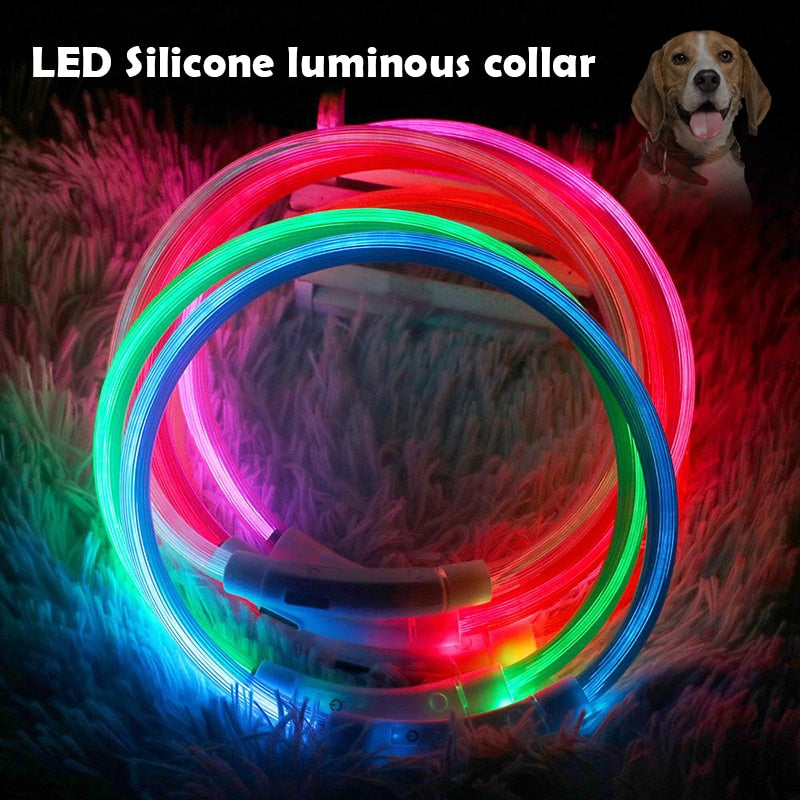 Lysande LED-halsband för Hund & Katt – USB-uppladdningsbart