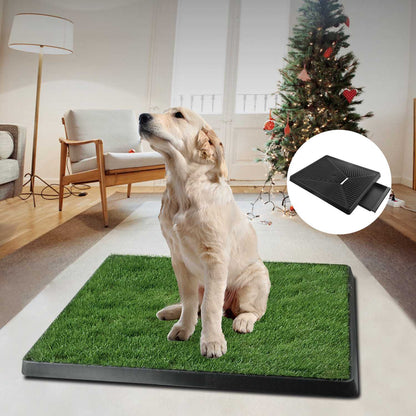 Hundtoalett med konstgräs – perfekt för valpar och inomhusbruk