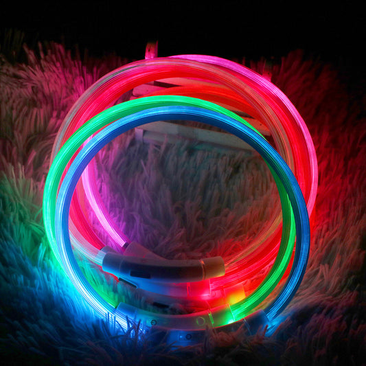 Lysande LED-halsband för Hund & Katt – USB-uppladdningsbart